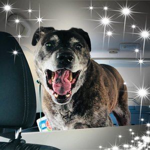 Meet your Posher, Carey